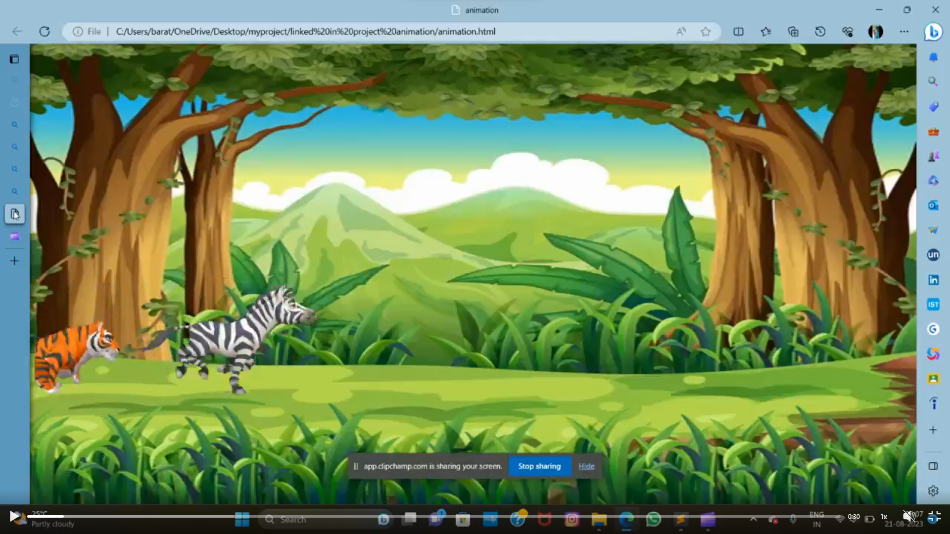 Animation